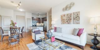 Domain at Kirby Gallery 8