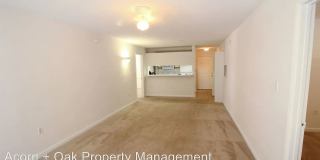 Room in 4 Bedroom Home at Collegiate Cir Gallery 7