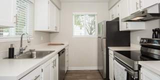 The Davenport Gallery 21