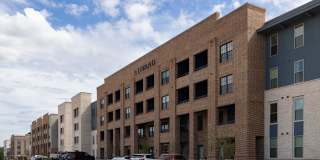 The Filmont Gallery 31