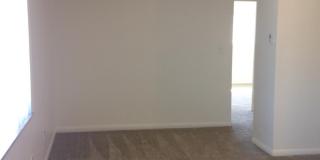 Westbury Park Gallery 25