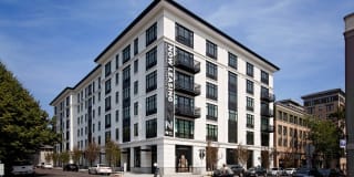 North Hollow North Hollow Gallery 1