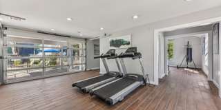 The Lantern Gallery 21