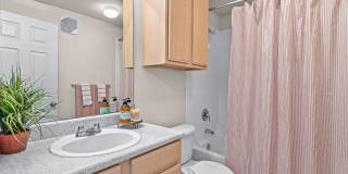 Cypress Creek Homes at Lakeline Boulevard Gallery 24