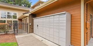 MonteVista Gallery 30