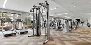 Juno Winter Park Gallery 24