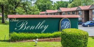Bentley Gallery 9