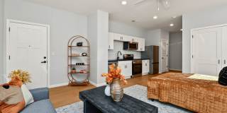 The Knoll Gallery 38