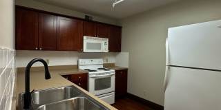 The Lodge Gallery 16