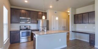 Century Palm Bluff Gallery 27