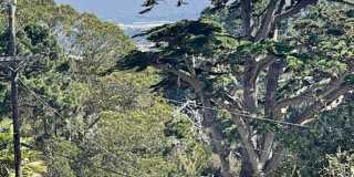 Mid Century Modern home in Monterey Gallery 22