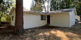 Updated 4 Bedroom 1 bathroom Home!!! Gallery 1