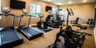 Antler View Gallery 12