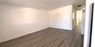 302 Dumont Ave Gallery 11