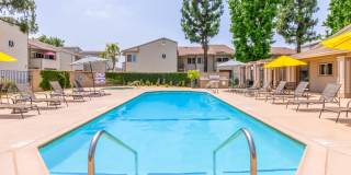 Aspire Rialto Gallery 1