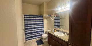 Modern Comfort Meets Prime Convenience in the Heart of Redmond’s Overlake (Reduced rent until May 1st)( MOVE IN SPECIAL ONE MONTH FREE) Gallery 12