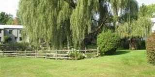 69 Lawson Lane unit: 69 Gallery 11