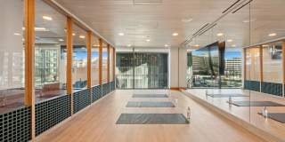 The Zoe Gallery 11
