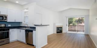 Skyview Gallery 7