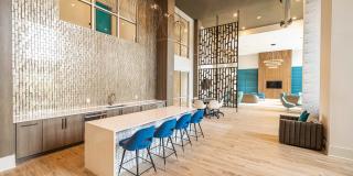 Linz of Viera Gallery 10