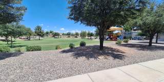 42776 W CAMINO DE JANOS Gallery 32
