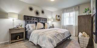 Cherry Creek Gallery 4