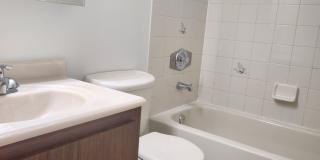 Duplex for rent Gallery 14