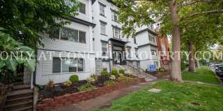 Beautifully Remodeled Apartment Home with Washer/Dryer in-Unit and Luxury Finishes! Gallery 154