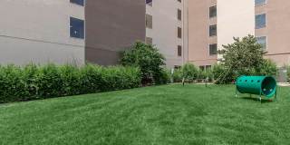 Seasons at Library Square Gallery 13