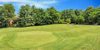 Columbia Glade Gallery 43