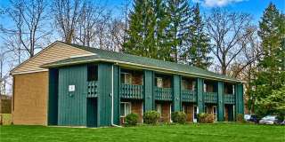 Brittain Road multi-family apartment with 1 bedroom and 1 bathroom! Gallery 1