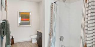 Cortland at P83 Gallery 11