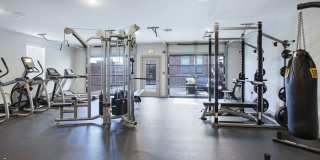 Thrive Argenta Gallery 16