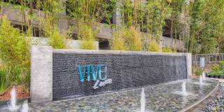 Vive Luxe Gallery 59