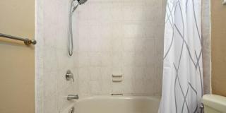 2229 Nova Village Drive Gallery 9