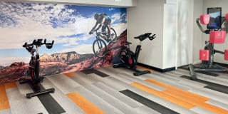 Shadowbrook Gallery 21