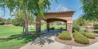 Exquisite Chandler 4 bed 3 bath home with Community Pool!! Gallery 14