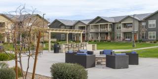 Ironwood at Happy Valley Gallery 12