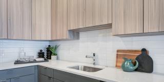 Rivermark Northern Liberties Gallery 57