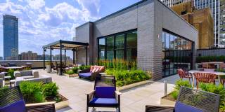Gild Gallery 25