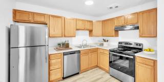 Windsor Terrace Gallery 1