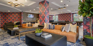 Halstead Norwalk Gallery 15