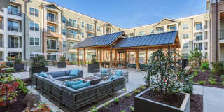 The Cardinal Gallery 10