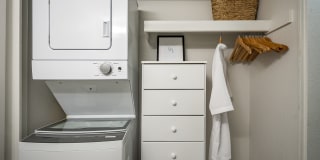 Polanco Apartments Gallery 20