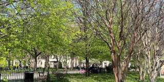 1505 HARVARD Street NW Gallery 35