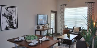 Addison at Tampa Oaks Gallery 10