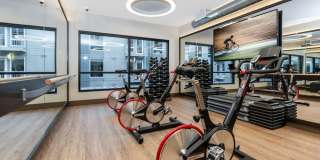 Alexan Main Street Gallery 58