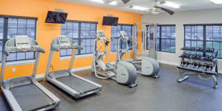 Irish Flats Gallery 4