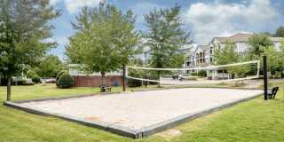 Meadow View Gallery 20