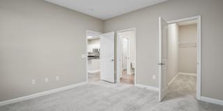 5151 Foxtail Pine Street Gallery 34